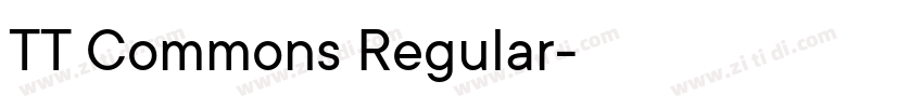 TT Commons Regular字体转换